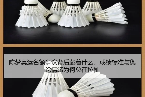 陈梦奥运名额争议背后藏着什么，成绩标准与舆论情绪为何总在拉扯