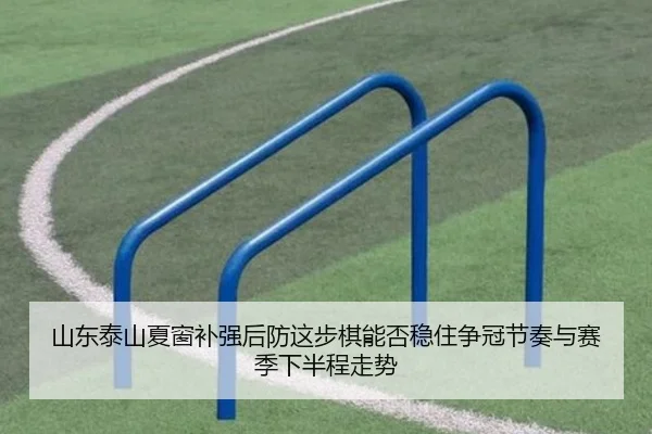 山东泰山夏窗补强后防这步棋能否稳住争冠节奏与赛季下半程走势