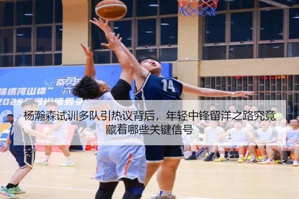 杨瀚森试训多队引热议背后，年轻中锋留洋之路究竟藏着哪些关键信号